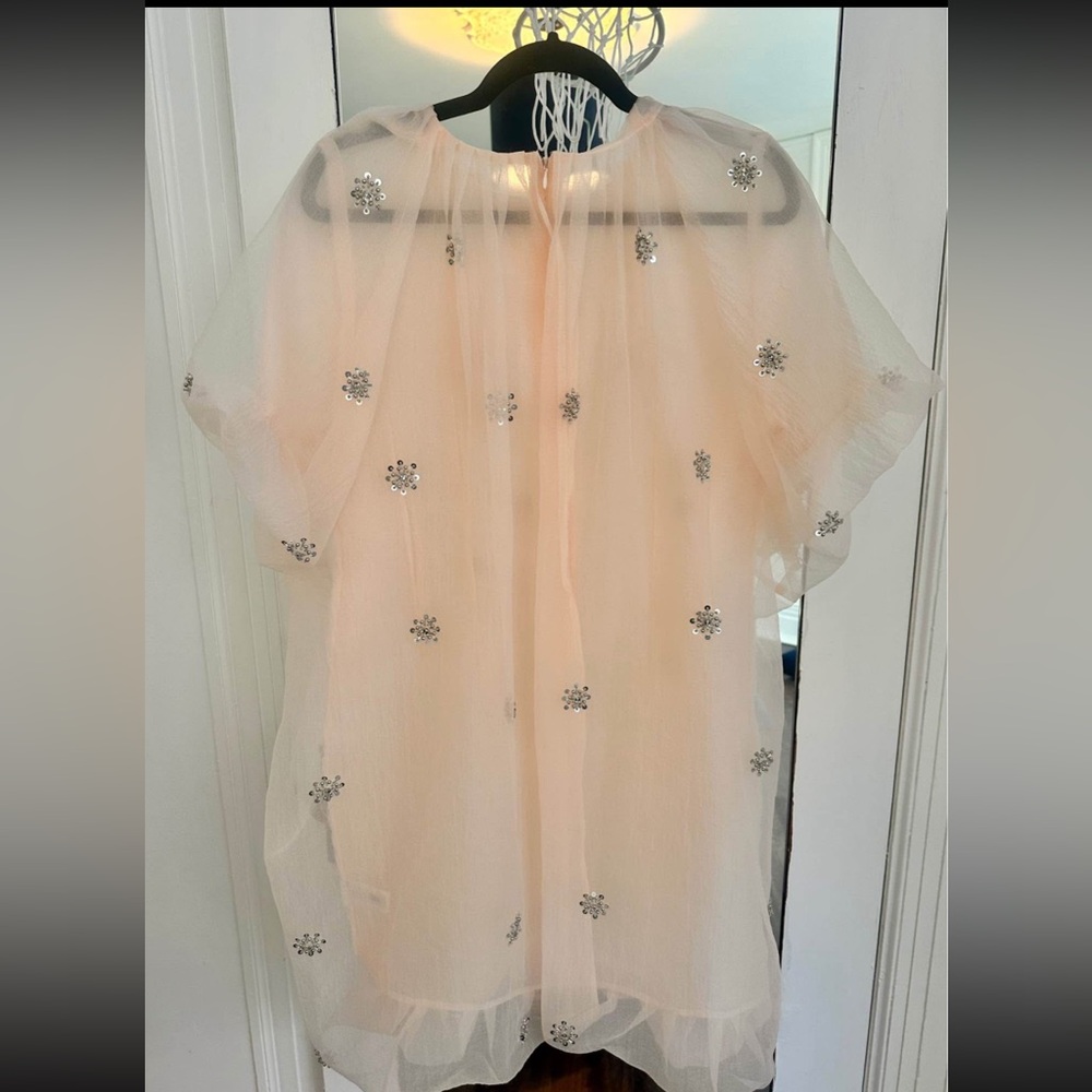 Zara tull dress - Picture 5 of 6